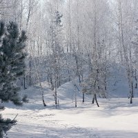 Зимнее утро :: MILAV V