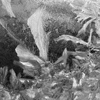 М4 :: Алексей Смирнов