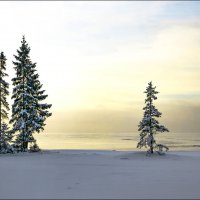 *  *  * :: Андрей Бобин