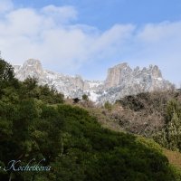 Природа Крыма :: Amazing Cosmea Природа Крыма :: Amazing Cosmea
