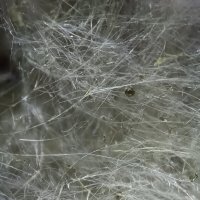 минвата :: Конрад Карлович Михельсон