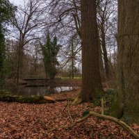 *** :: Николай Гирш