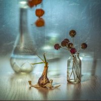 Увяданье... :: Анатолий Нецепляев