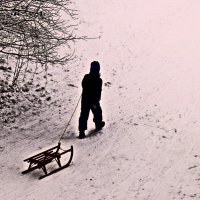 Южная зима - 13 :: Алексей Кузнецов Южная зима - 13 :: Алексей Кузнецов