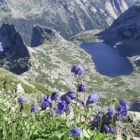 Парабола :: Валерий 