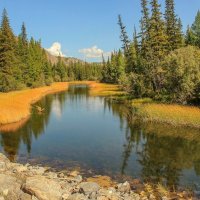Речушки в горах :: елена беликова Речушки в горах :: елена беликова
