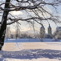 Солнечный день :: ZNatasha -