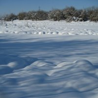 Тени :: Anna Ivanova Тени :: Anna Ivanova