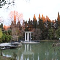 Парк Дендрарий на закате :: Валерий 