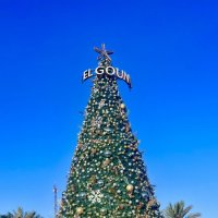 2025-2026 :: Aлёна V