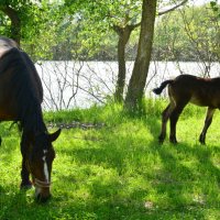 С мамой. :: Виктор 