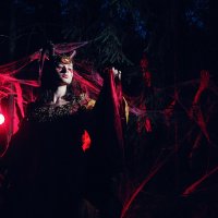 Посланница ночи. :: Валерий Гришин