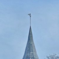 Калининград. Кафедральный собор. :: Михаил Свиденцов