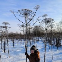 В морозный день января. :: Ольга 