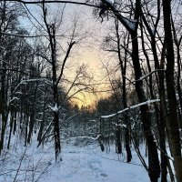 Мороз и закат :: Александр Конов