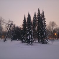 Зима :: Сапсан 