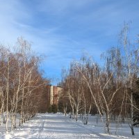 Снежная тропинка :: Андрей Хлопонин Снежная тропинка :: Андрей Хлопонин