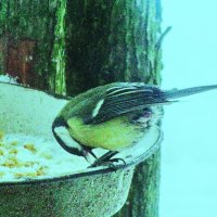 Довольная :: Людмила Смородинская