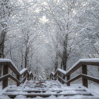 Лестница. :: Владимир Владимир