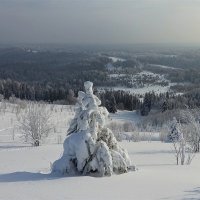 Белогорье :: Лариса С. Белогорье :: Лариса С.