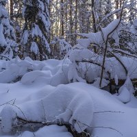 Снежное покрывало :: Сергей Цветков Снежное покрывало :: Сергей Цветков