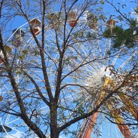 Новороссийск :: Елена Шаламова