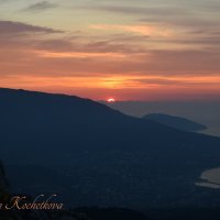 Природа Крыма :: Amazing Cosmea Природа Крыма :: Amazing Cosmea