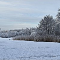 В зимнем парке. :: Валерия Комова