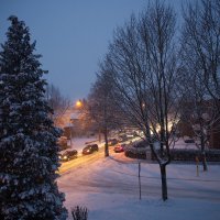 26.01.2026 Утро ... :: Jakob Dick