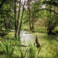 **** :: Андроник Александр 