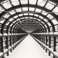 *** :: Сергей Григорьев *** :: Сергей Григорьев