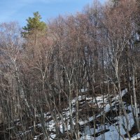 Постоянство :: Игорь Николаев