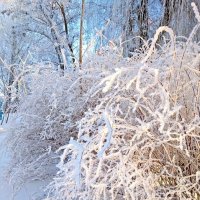 В январе... :: Елена В январе... :: Елена