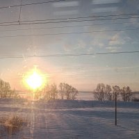 Мороз и солнце :: Юлия Денискина