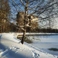 Мороз и солнце, день чудесный :: Андрей Лукьянов