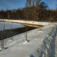 Мороз и солнце, день чудесный :: Андрей Лукьянов