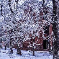 Деревья в серебре :: Людмила Фил