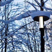 днем с огнем... :: Артём Евтюхов днем с огнем... :: Артём Евтюхов