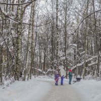 прогулки в зимнем парке :: юрий поляков