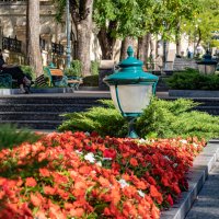 пр. Ленина :: navalon M пр. Ленина :: navalon M