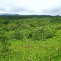 Славный остров Сахалин. :: unix (Илья Утропов)