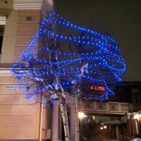 Светящееся дерево :: Сапсан 