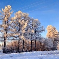 Зима январь :: Михаил Столяров