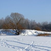 Зима в конце января. :: Милешкин Владимир Алексеевич Зима в конце января. :: Милешкин Владимир Алексеевич