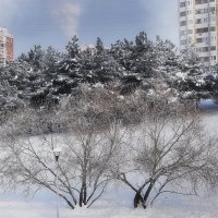 Дым трубой - к морозу. :: Татьяна Помогалова