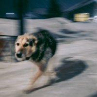 ... :: Жора Житников ... :: Жора Житников