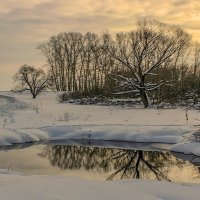 Незамерзающие речки у лебединого озера :: елена беликова