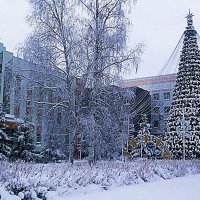 Январь...Заснеженная елка нефтяников! :: Владимир 
