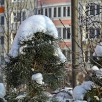В снежной шапке-ушанке :: Валерий Иванович