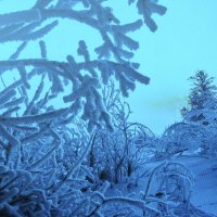 Зимняя красота :: Людмила Смородинская